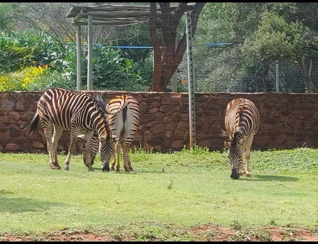 FARM FOR SALE IN RUSTENBURG RURAL